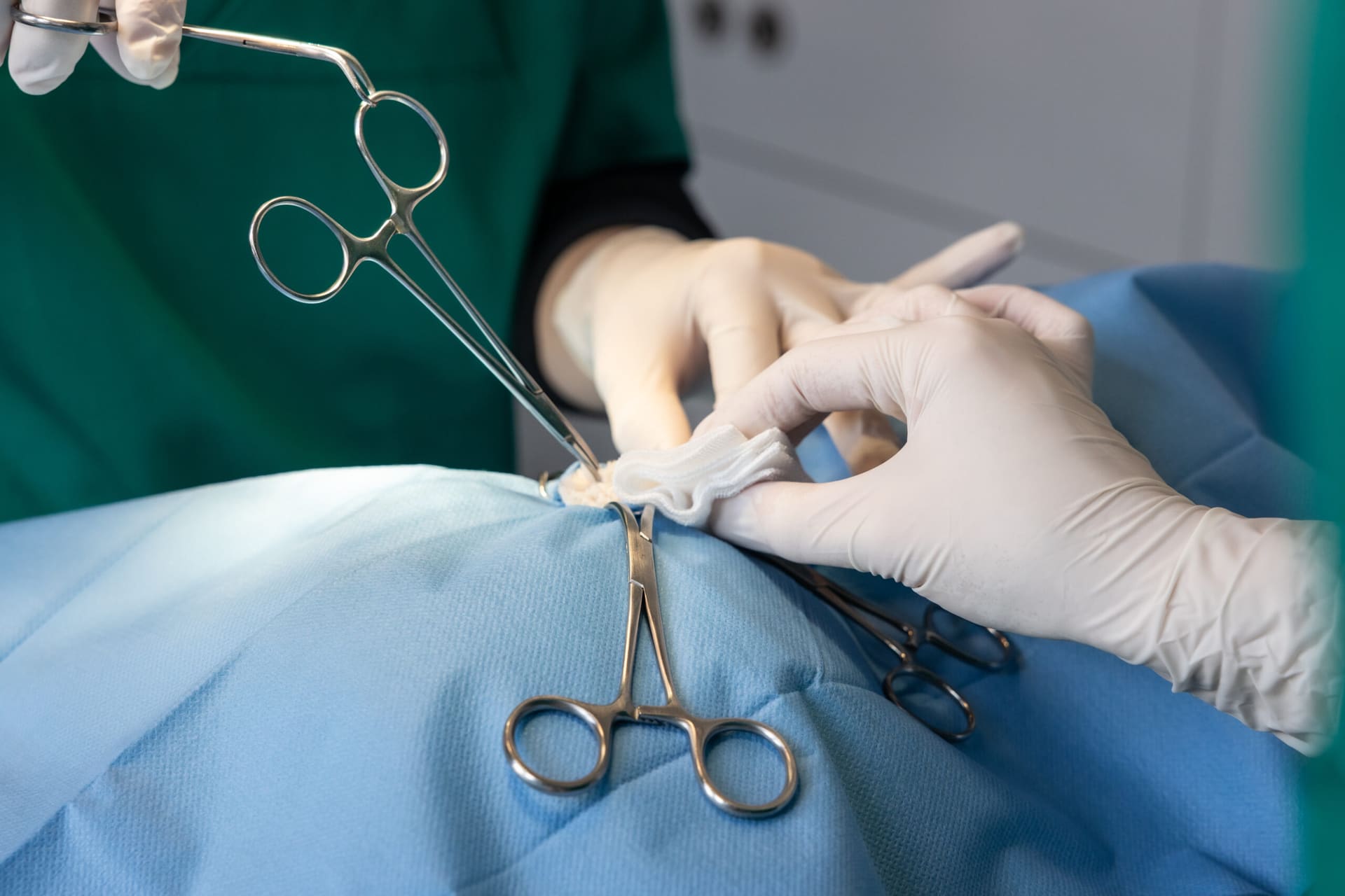 Twee paar handen met steriele handschoenen werken met klemmen en een gaasje tijdens een operatie.