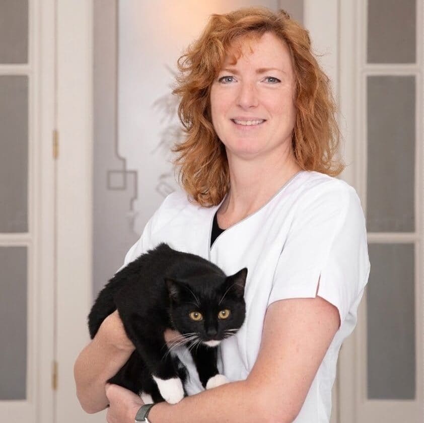 Medewerker in witte dienstkleding met een zwart met witte kat op de arm.