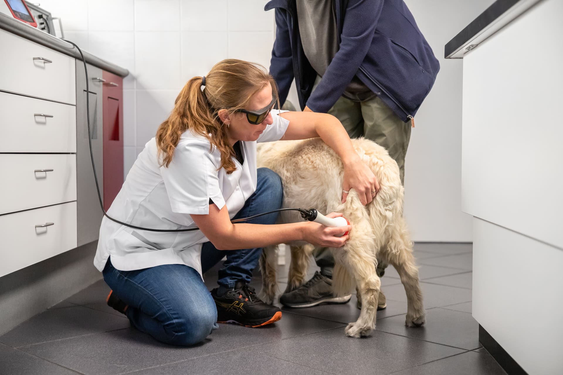 Een dierenarts met laserbril behandelt de achterpoot van een lichte hond met de therapeutische laser.