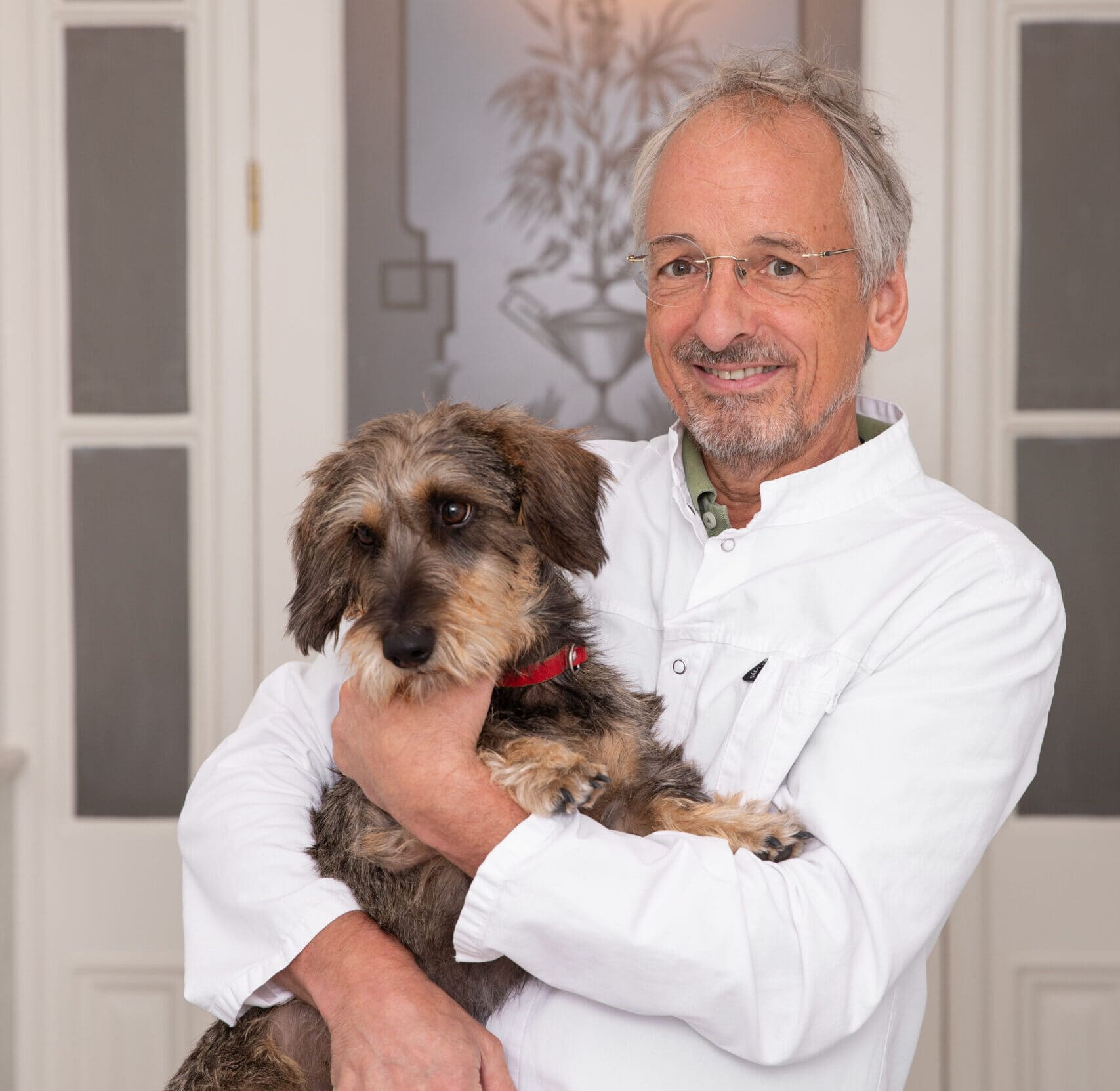 Dierenarts in witte dienstkleding met een ruwharige teckel op de arm.